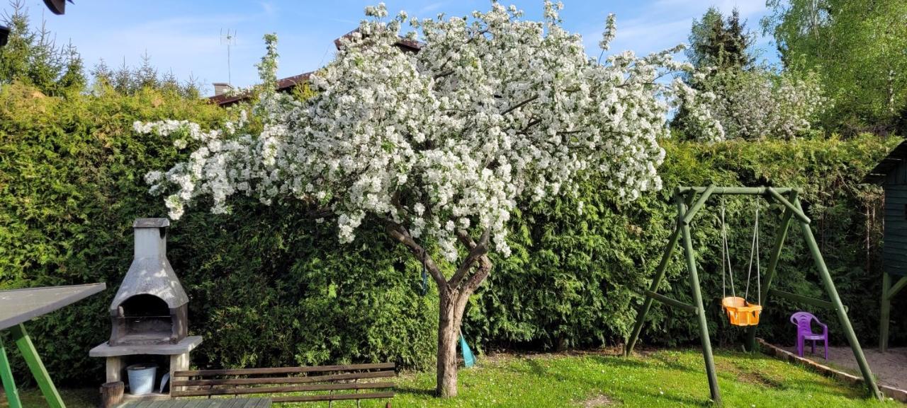 Cudodomek Na Mazurach W Woszczelach Kolo Elku Ełk Exterior foto